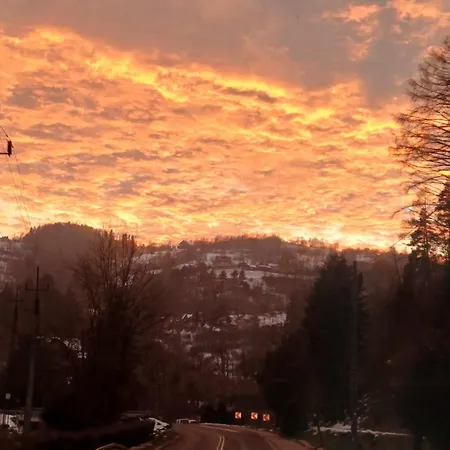 ホームステイ Helena