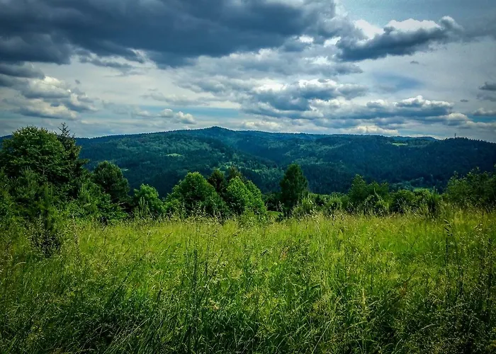 Helena 民宿 Piwniczna-Zdroj